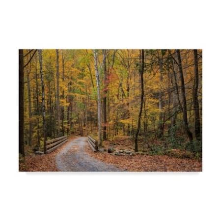 Galloimages Online 'Greenbrier Bridge Path' Canvas Art,12x19